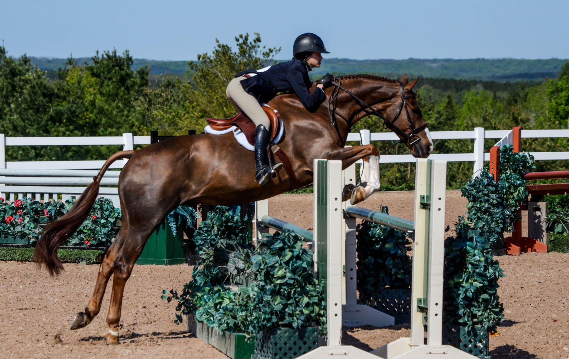 Victoria Anderson is on a horse
